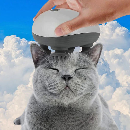 Masseur Electrique Relaxant pour Chats
