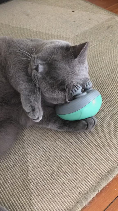 Masseur Electrique Relaxant pour Chats